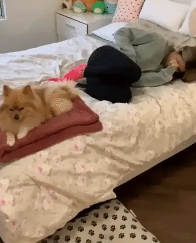 🌸 ¿Cansada de esos dolores insoportables?