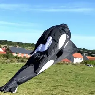 🐳 ¿Recuerdas la última vez que volaste una cometa? 🐳