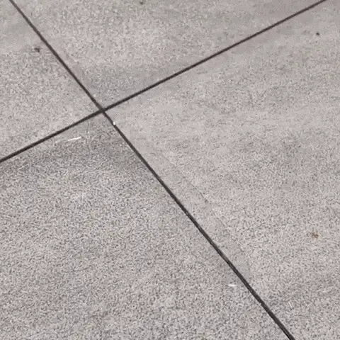 ❓ ¿Y si la humedad no fuera un problema para siempre? ❓